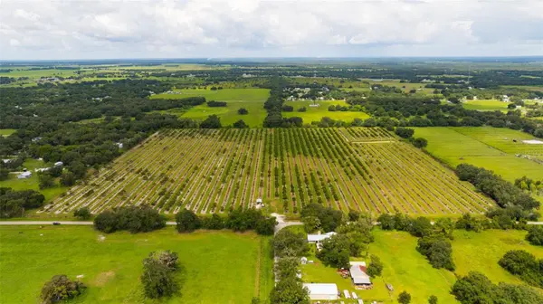 SW CARLTON AVE, Arcadia, FL 34266