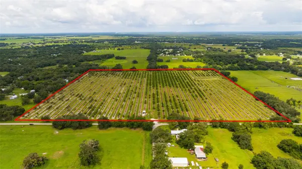 SW CARLTON AVE, Arcadia, FL 34266