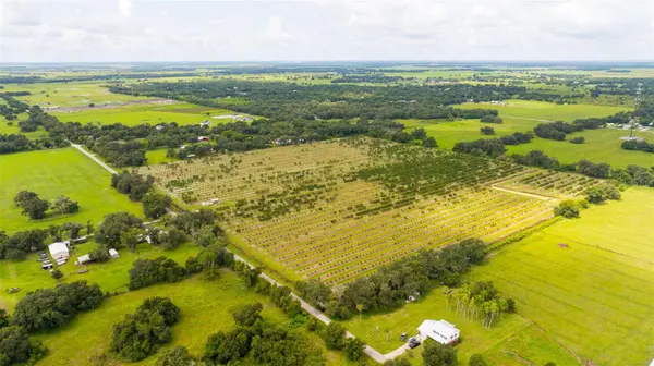 SW CARLTON AVE, Arcadia, FL 34266
