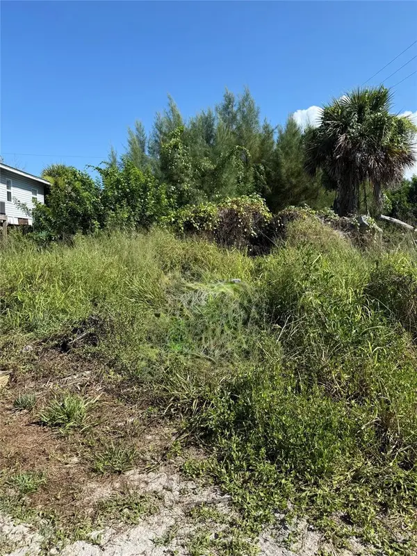 8990 SEAGRAPE LN,  Placida,  FL 33946
