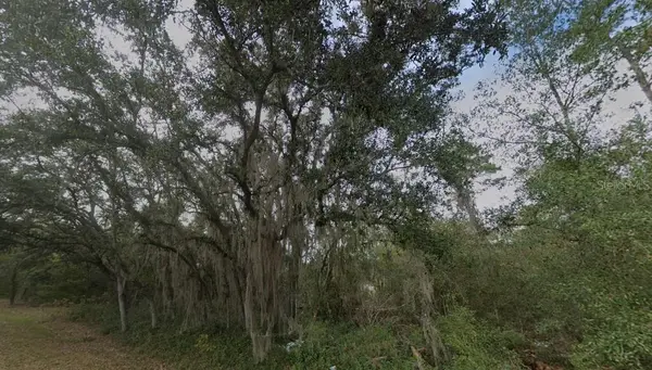 FISHER WAY DR LOT 16, Ocklawaha, FL 32179