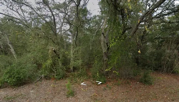FISHER WAY DR LOT 16, Ocklawaha, FL 32179