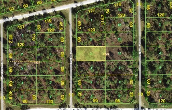13346 BAMBI TER, Punta Gorda, FL 33955