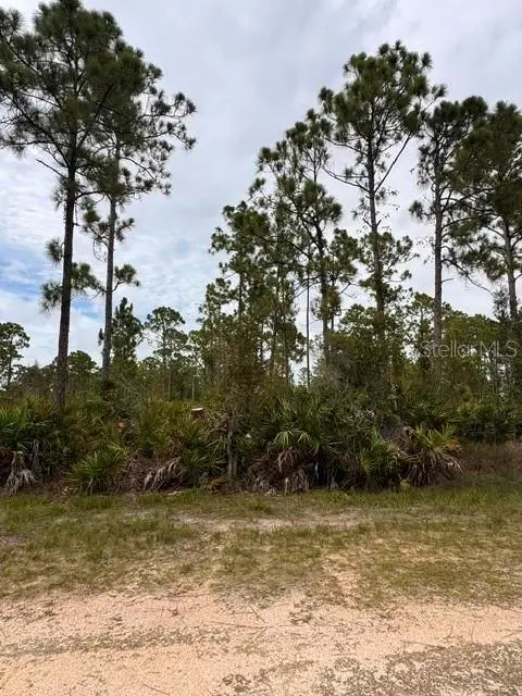 27430 CHRYSALIS DR, Punta Gorda, FL 33955