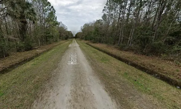 4530 HAROLD ST, Hastings, FL 32145