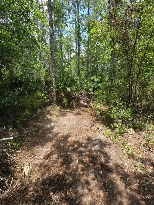 1411 ELDER ST, Bunnell, FL 32110