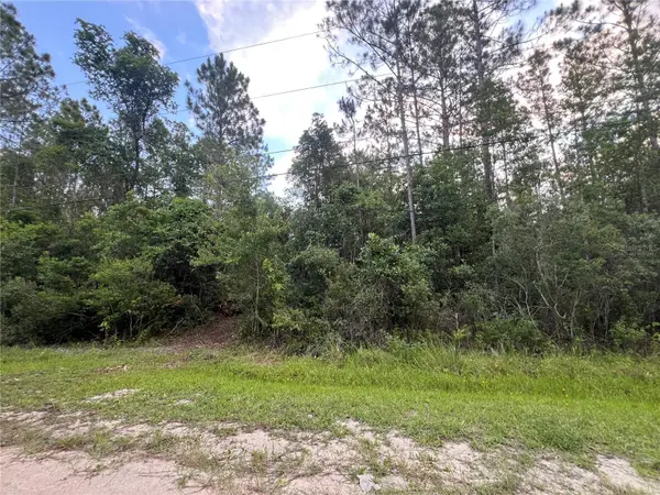 1411 ELDER ST, Bunnell, FL 32110