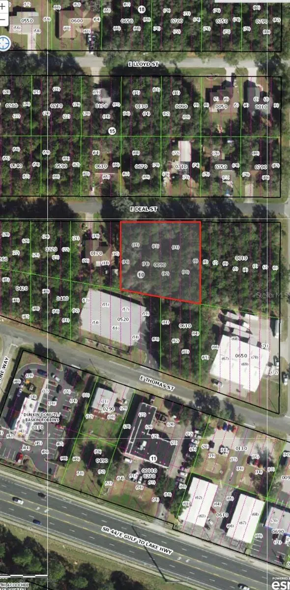 3118 E DEAL ST, Inverness, FL 34453