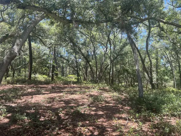 1425 RENBAR RD, De Leon Springs, FL 32130