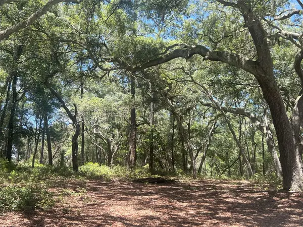 1425 RENBAR RD, De Leon Springs, FL 32130