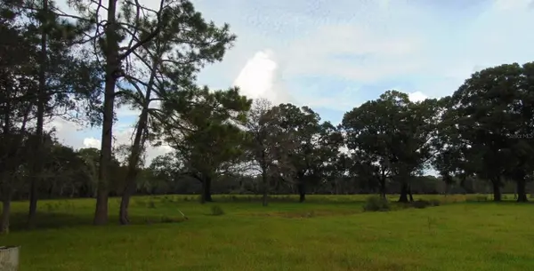 20241 MAXVILLE MACCLENNY HWY, Jacksonville, FL 32234