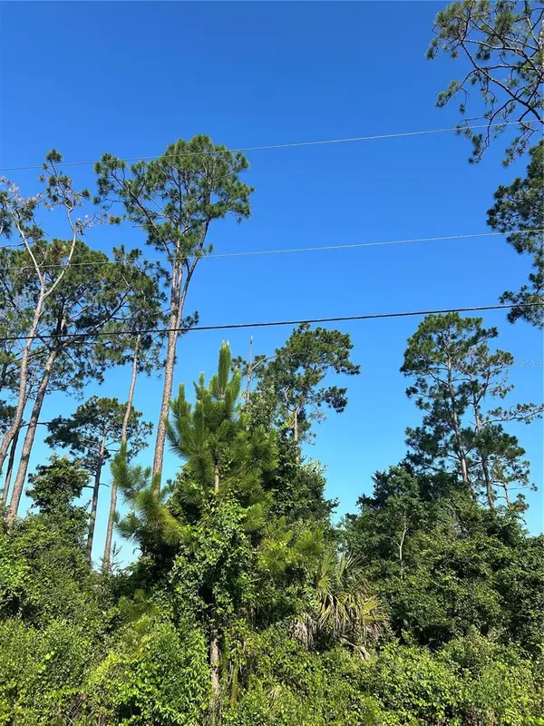 4 RYBERRY DR, Palm Coast, FL 32164