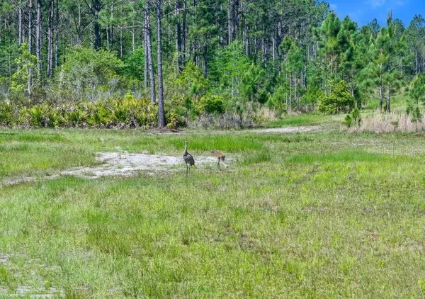 0 CARTER ST, Bunnell, FL 32110
