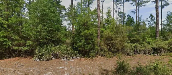 148 ARDEN ST, Georgetown, FL 32139