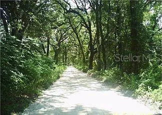 148 ARDEN ST, Georgetown, FL 32139