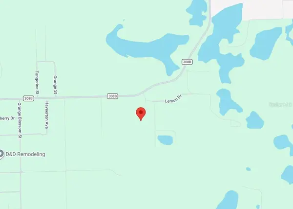 123 PEACH ORCHARD RD, Pomona Park, FL 32181