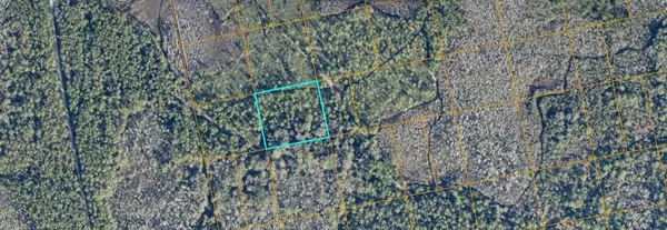 UNIMPROVED, Oak Hill, FL 32759
