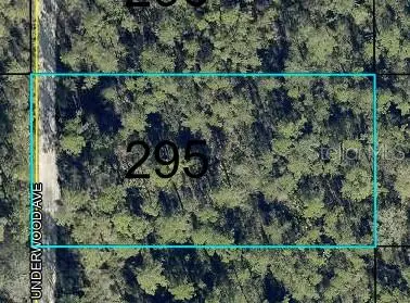 UNDERWOOD, Hastings, FL 32145