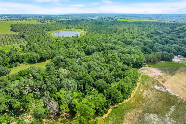 23449 THOMAS ALLEN RD, Howey In The Hills, FL 34737