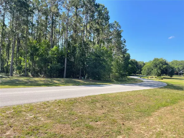 31004 SECRETARIAT TRL, Leesburg, FL 34748