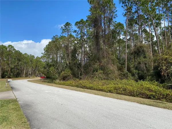 31004 SECRETARIAT TRL, Leesburg, FL 34748