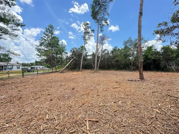 W PINE ST, Paisley, FL 32767