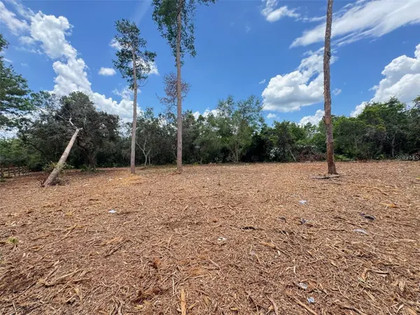 W PINE ST, Paisley, FL 32767