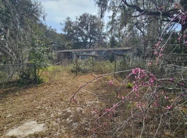 4210 NE 175TH STREET RD, Citra, FL 32113