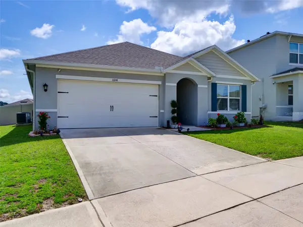 11244 AMBER RIDGE DR, Zellwood, FL 32798