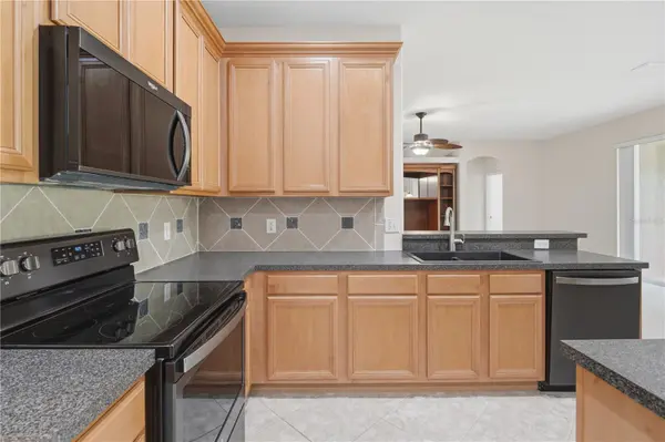 4203 ROCK HILL LOOP, Apopka, FL 32712