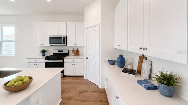6217 SANDERS GROVE CIR, Leesburg, FL 34748