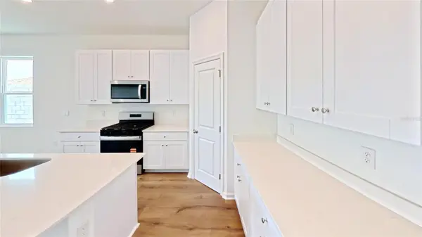6217 SANDERS GROVE CIR, Okahumpka, FL 34762