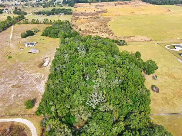 CURLE RD, Eustis, FL 32736