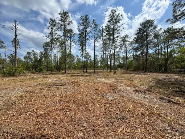 SW EDGEWATER BLVD, Dunnellon, FL 34431