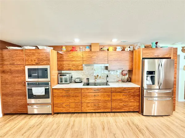 209 W DELAWARE ST, Tavares, FL 32778