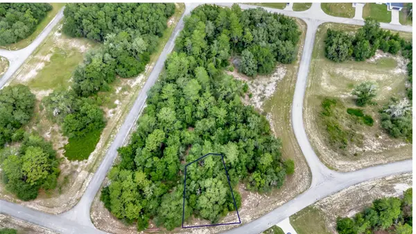 WILLMINGTON DR, Ocala, FL 34473