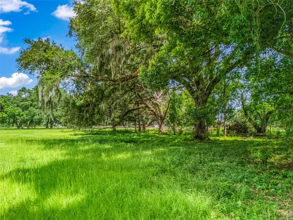 0000 CR 738 UNASSIGNED, Webster, FL 33597