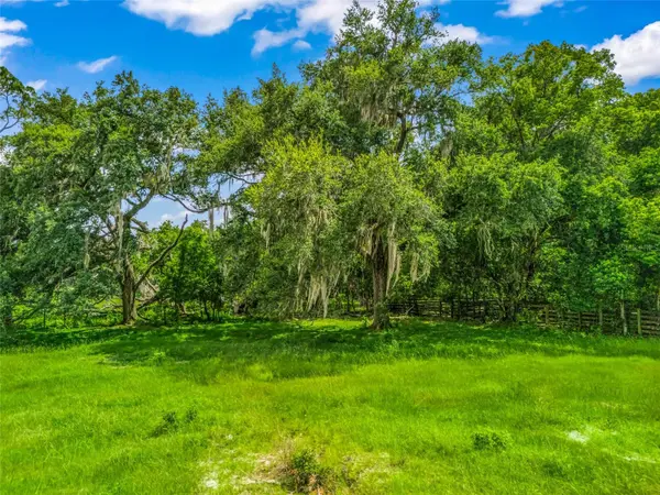 0000 CR 738 UNASSIGNED, Webster, FL 33597