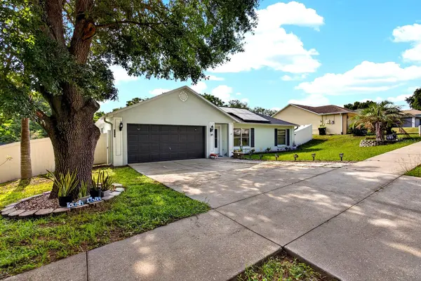 919 ARBOR HILL CIR, Minneola, FL 34715