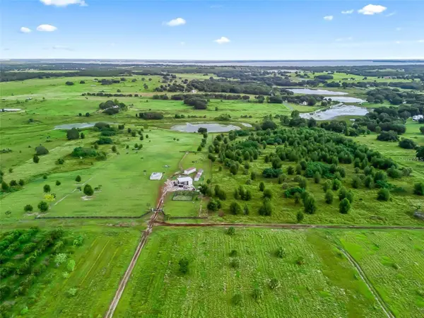 PUNKIN CENTER RD, Leesburg, FL 34748