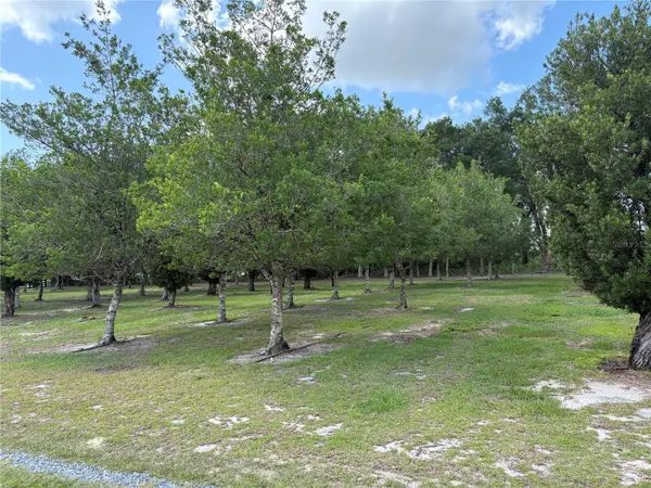1238 S US 301, Sumterville, FL 33585