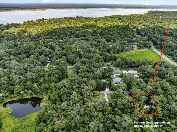 3080 CR 417, Lake Panasoffkee, FL 33538
