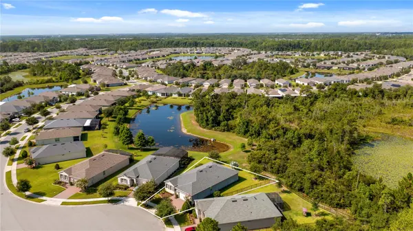 3899 WINGED ELM CT, Clermont, FL 34714