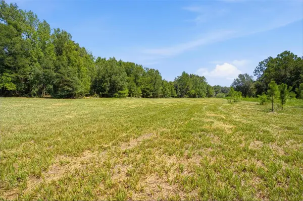 0 FOREST 02, #1, SE 150TH ST, Umatilla, FL 32784