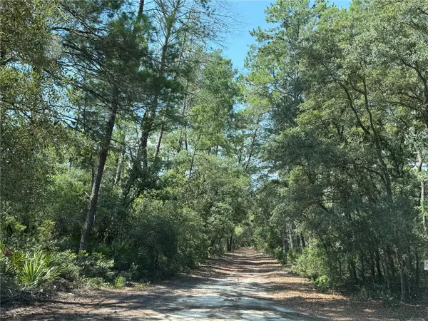 0 FOREST 02, #3,  SE 150TH ST, Umatilla, FL 32784