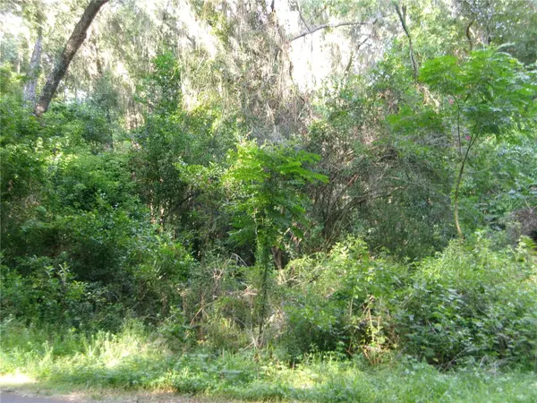 ST CLAIR ST, Wildwood, FL 34785