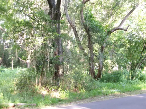 ST CLAIR ST, Wildwood, FL 34785
