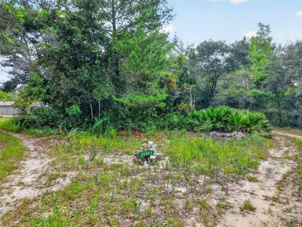 20241 SALTSDALE RD, Umatilla, FL 32784