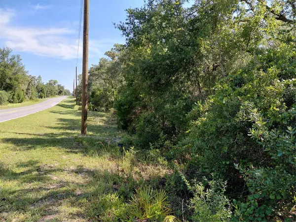 WHEYSTONE DR, Webster, FL 33597