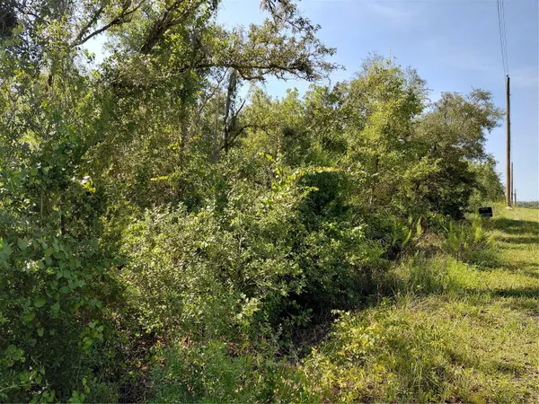 WHEYSTONE DR, Webster, FL 33597